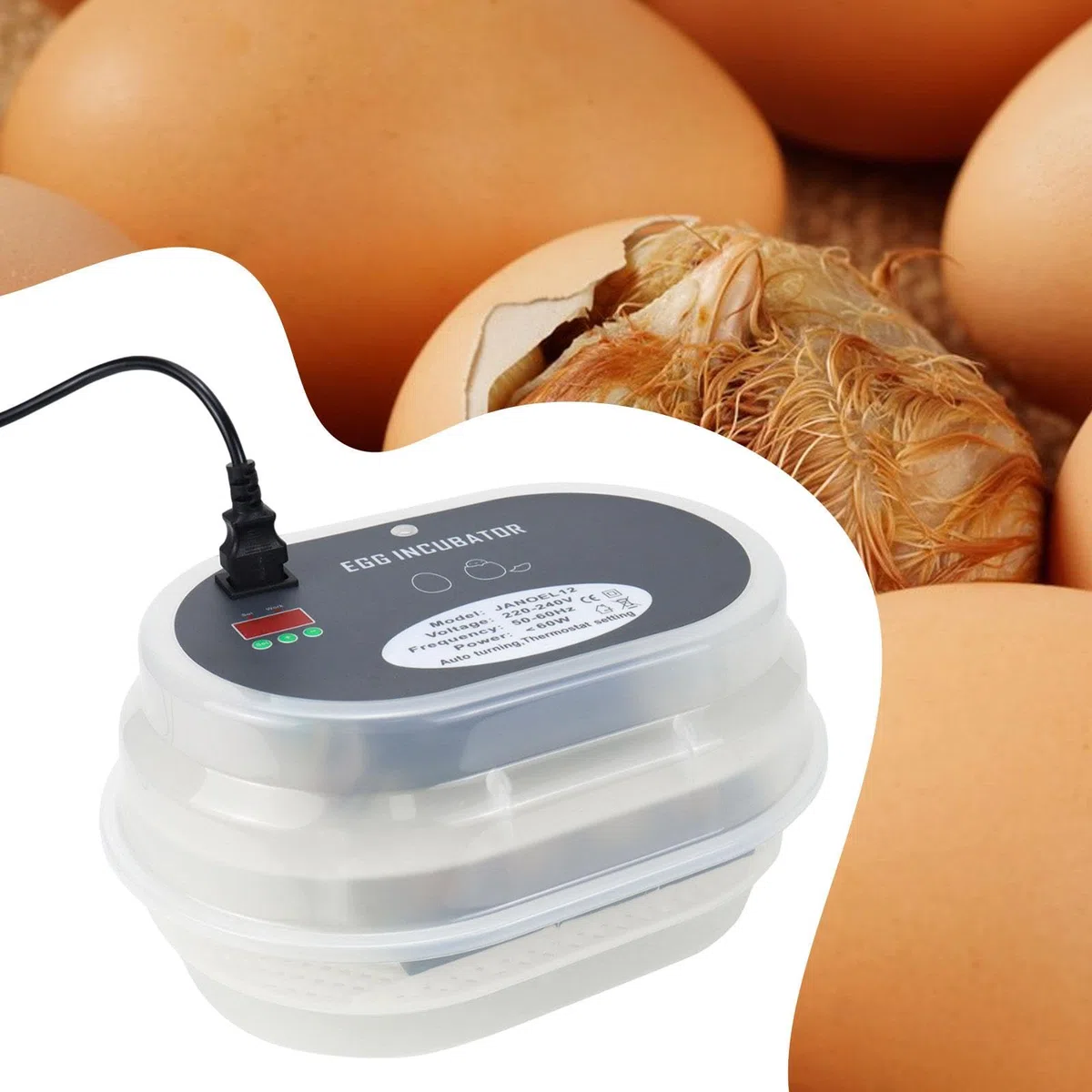 Incubateur Automatique Multifonctionnel pour œufs de Poules avec Couvercle Transparent et Contrôle de La Température