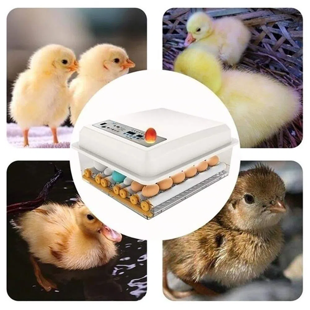 WSHA Incubateur d'oeufs 220V couveuse couveuse avec retourneur Automatique, Outils d'incubation de Ferme, Double Puissance, Faible Bruit, pour Poulets