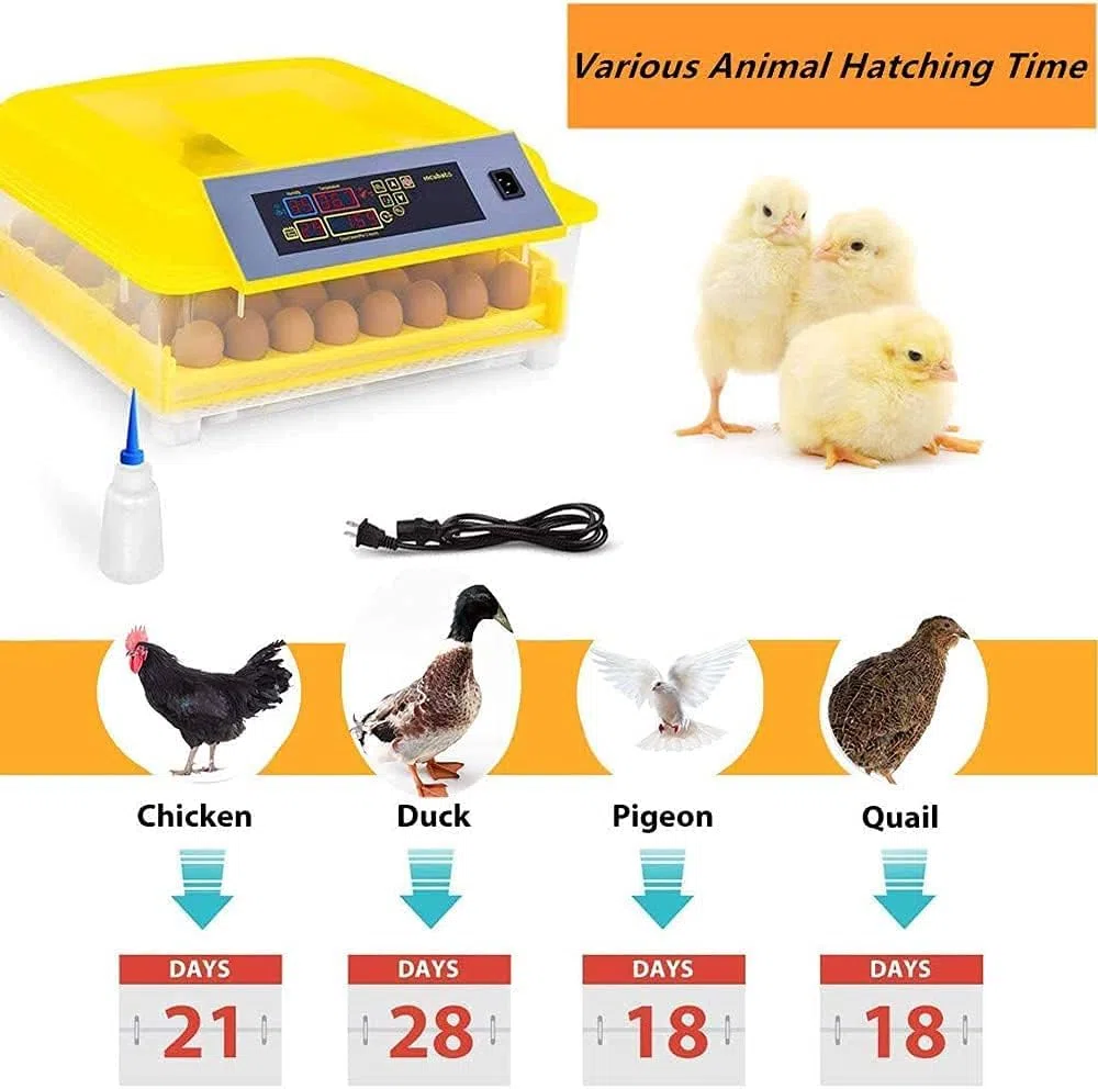 Incubateur d'œufs numérique entièrement automatique for 46 œufs, poulet, volaille, avec contrôle de la température et de l'humidité, rotation automatique for toutes les volailles