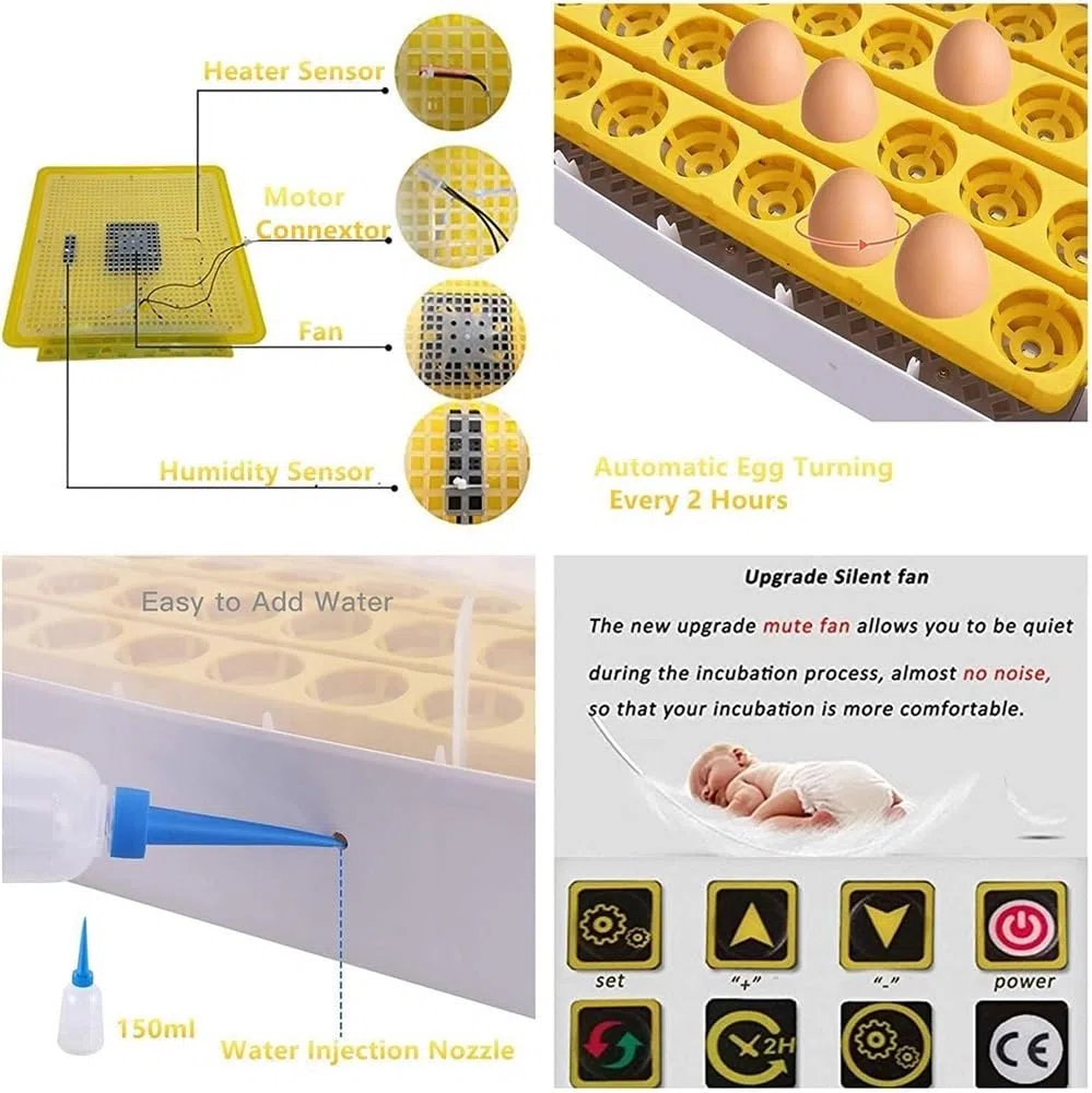 Incubateur d'œufs numérique entièrement automatique for 46 œufs, poulet, volaille, avec contrôle de la température et de l'humidité, rotation automatique for toutes les volailles