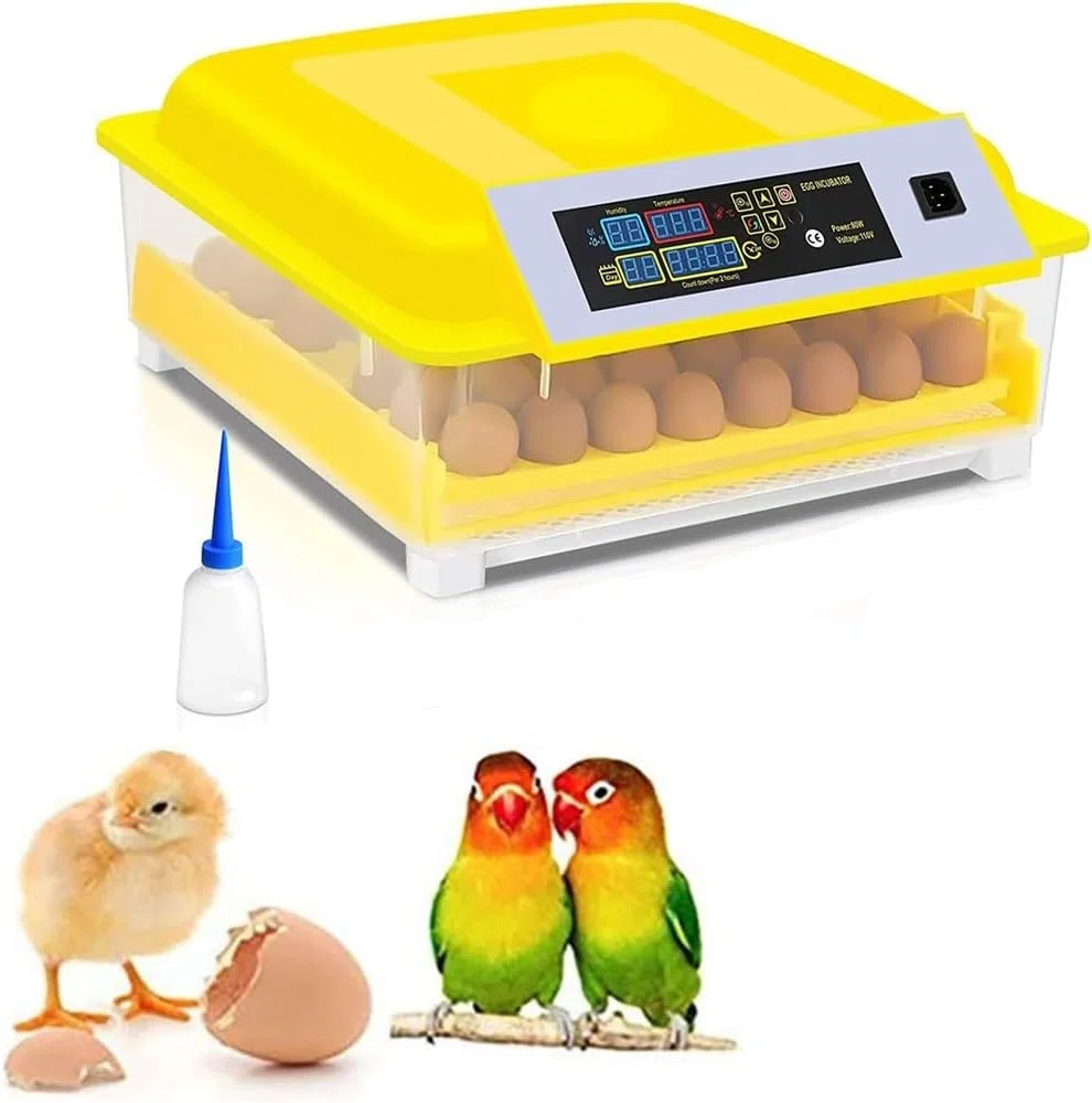 Incubateur d'œufs numérique entièrement automatique for 46 œufs, poulet, volaille, avec contrôle de la température et de l'humidité, rotation automatique for toutes les volailles