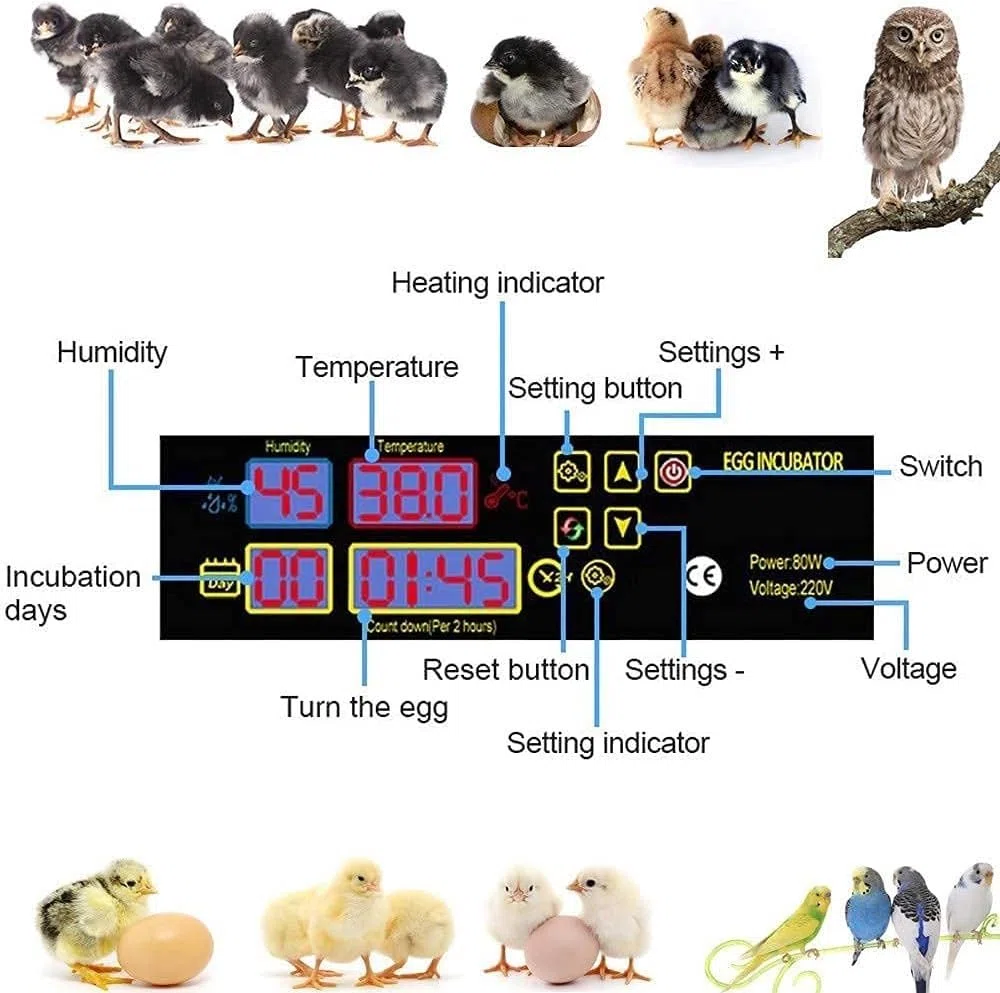 Incubateur d'œufs numérique entièrement automatique for 46 œufs, poulet, volaille, avec contrôle de la température et de l'humidité, rotation automatique for toutes les volailles